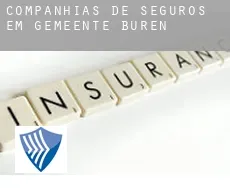 Companhias de seguros em Gemeente Buren