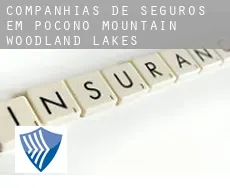 Companhias de seguros em Pocono Mountain Woodland Lakes