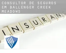 Consultor de seguros em  Ballenger Creek Meadows