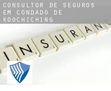 Consultor de seguros em  Condado de Koochiching
