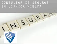 Consultor de seguros em  Lipnica Wielka