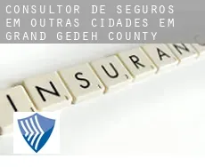 Consultor de seguros em  Outras cidades em Grand Gedeh County