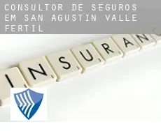 Consultor de seguros em  San Agustín de Valle Fértil