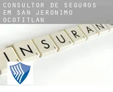 Consultor de seguros em  San Jerónimo Ocotitlán