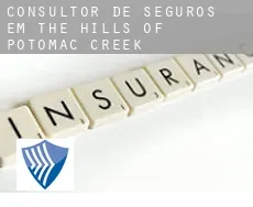 Consultor de seguros em  The Hills of Potomac Creek