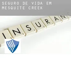 Seguro de vida em  Mesquite Creek