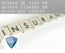 Seguro de vida em  Outras cidades em River Gee County