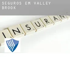 Seguros em  Valley Brook