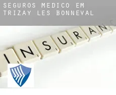Seguros médico em  Trizay-lès-Bonneval