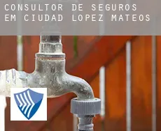 Consultor de seguros em  Ciudad López Mateos