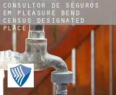 Consultor de seguros em  Pleasure Bend