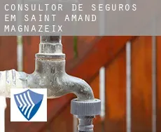 Consultor de seguros em  Saint-Amand-Magnazeix