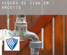 Seguro de vida em  Amcotts