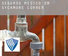 Seguros médico em Sycamore Corner