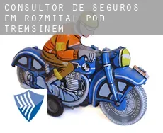 Consultor de seguros em  Rožmitál pod Třemšínem