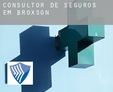 Consultor de seguros em  Broxson