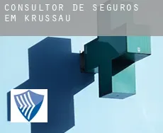 Consultor de seguros em  Krüssau