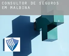 Consultor de seguros em  Malbina