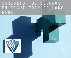 Consultor de seguros em  Right Fork of Long Fork