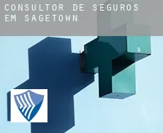 Consultor de seguros em  Sagetown