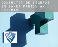 Consultor de seguros em  Sankt Martin am Grimming