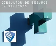 Consultor de seguros em  Siltcoos