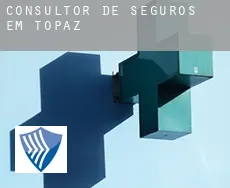 Consultor de seguros em  Topaz