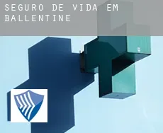 Seguro de vida em  Ballentine