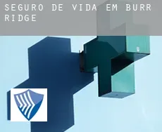 Seguro de vida em  Burr Ridge
