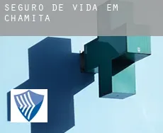 Seguro de vida em  Chamita