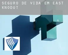 Seguro de vida em  East Knodut