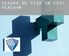 Seguro de vida em  East Peacham