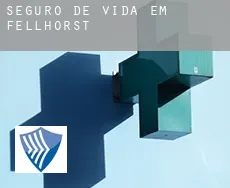 Seguro de vida em  Fellhorst