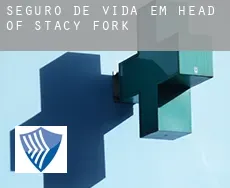 Seguro de vida em  Head of Stacy Fork