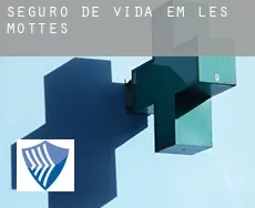 Seguro de vida em  Les Mottes
