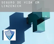 Seguro de vida em  Linzenich