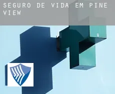 Seguro de vida em  Pine View