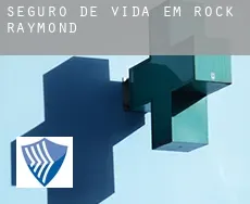Seguro de vida em  Rock Raymond