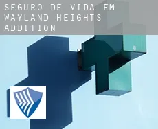 Seguro de vida em  Wayland Heights Addition