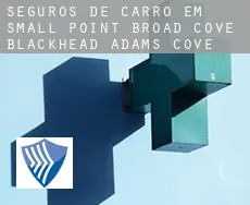 Seguros de carro em  Small Point-Broad Cove-Blackhead-Adams Cove