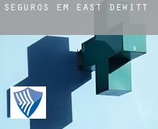 Seguros em  East DeWitt