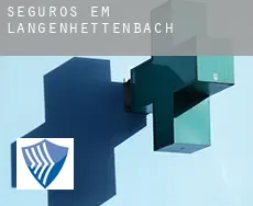 Seguros em  Langenhettenbach