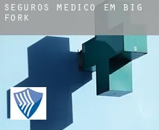 Seguros médico em  Big Fork