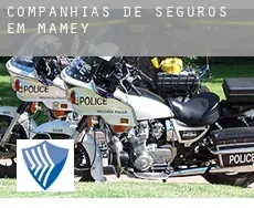 Companhias de seguros em  Mamey