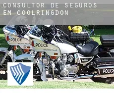 Consultor de seguros em  Coolringdon