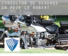 Consultor de seguros em  Pezé-le-Robert