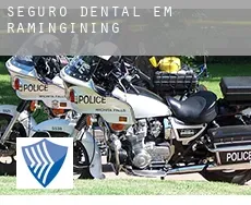 Seguro dental em  Ramingining