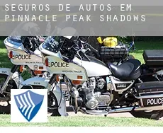 Seguros de autos em  Pinnacle Peak Shadows