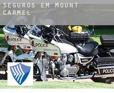 Seguros em  Mount Carmel