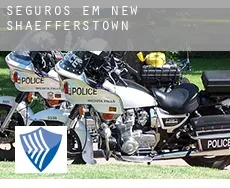 Seguros em  New Shaefferstown